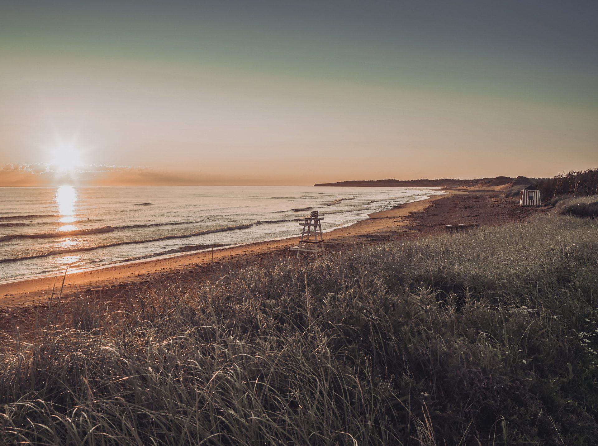 Tall beach grass on a quiet stretch of coast at sunset